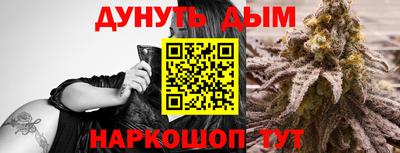 mdpv Рыбинск